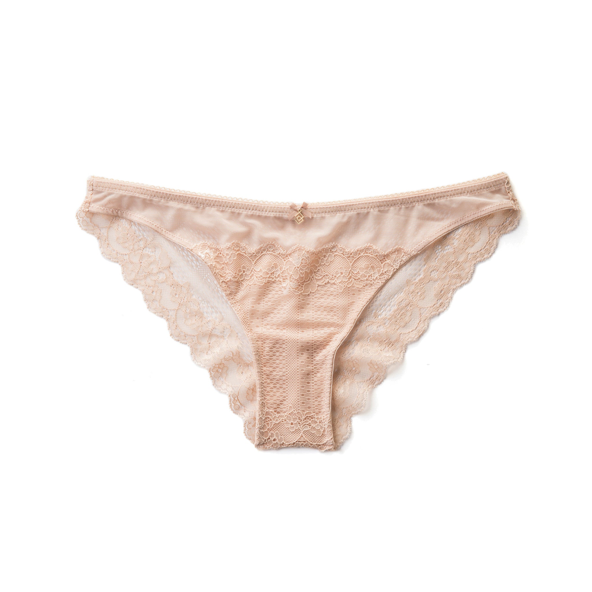 Lace & Mesh Bikini Panty in Nude (MD)