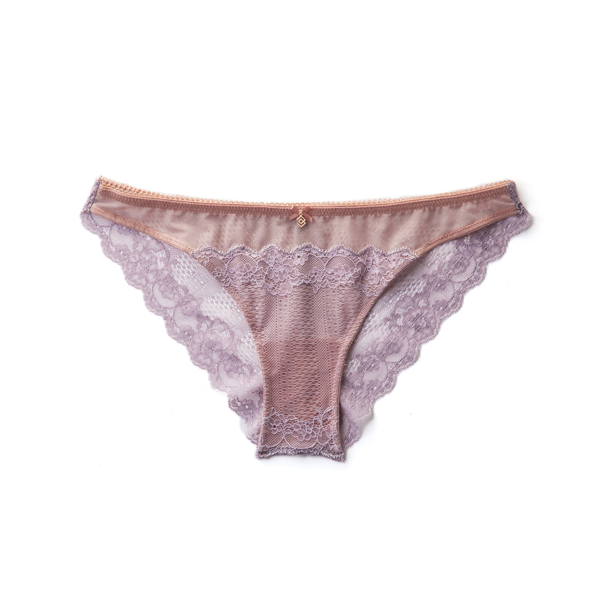 Lace & Mesh Bikini Panty in (LG)